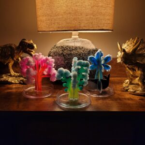 DIY Crystallography  Grow your own Crystal Coral reef