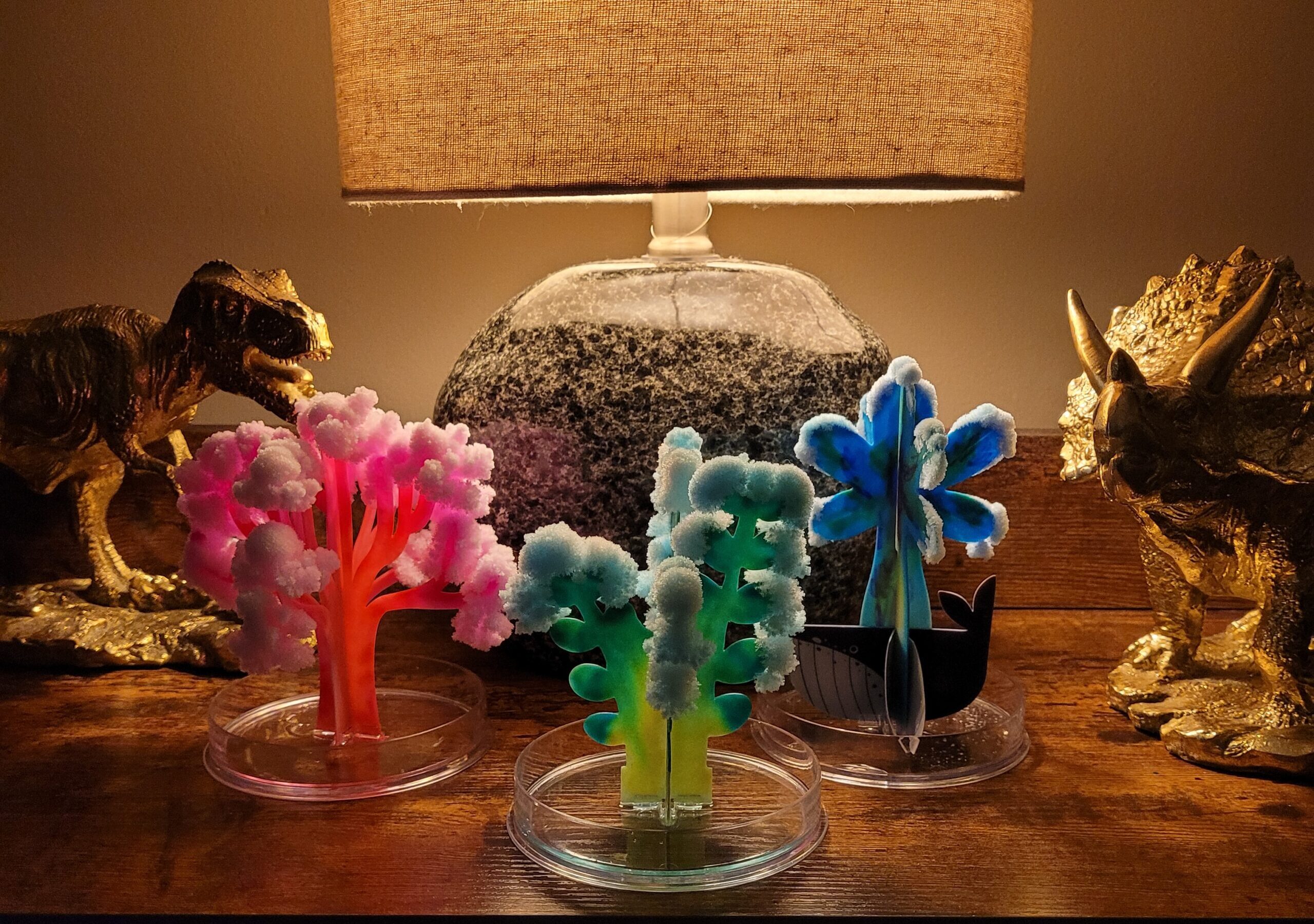 Crystal Science: Grow Your Own Magic Crystal Coral Reef