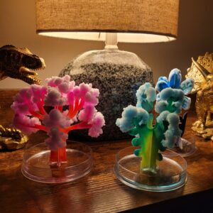 DIY Crystallography Grow your own Crystal Coral reef